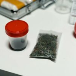 A New Era: How Medical Cannabis Is Reshaping Sydney’s Healthcare Landscape