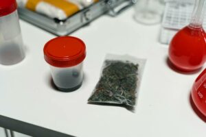 You are currently viewing A New Era: How Medical Cannabis Is Reshaping Sydney’s Healthcare Landscape